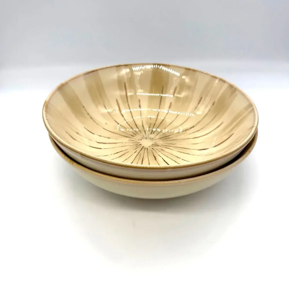 Pier 1 Sanctuary Stoneware Set of 2 Soup Bowls 7.75